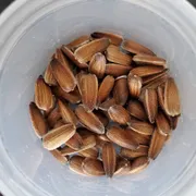 Mei C. Profile photo 5