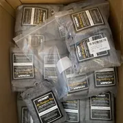 Alessandra  Profile photo 4