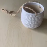 Cricket Profile photo 3