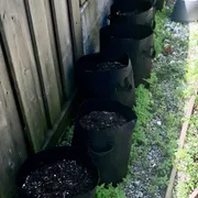 Karen R. Profile photo 14