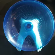 Sarah S Profile photo 5