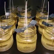 Sara Profile photo 14