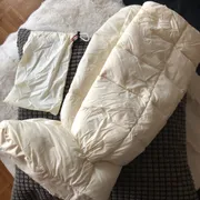 Alicia D. Profile photo 2