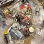 Sophia L. Profile photo 24