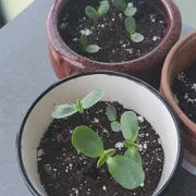 Mei C. Profile photo 4