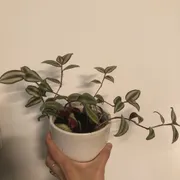 Quinn W. Profile photo 8