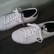 Ryan Z Profile photo 3