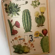 Kait S. Profile photo 15