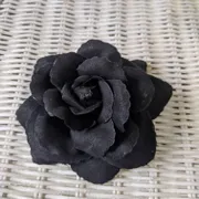 Lacey F. Profile photo 5