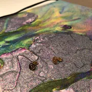 Alix Teresa  Profile photo 16