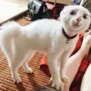 Rebeca S. Profile photo 2