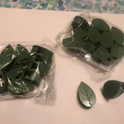 Quinn W. Profile photo 3