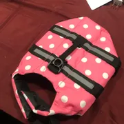 Quinn W. Profile photo 21