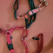 Anth A Profile photo 6