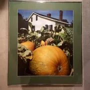 Donna 🐚 Profile photo 12