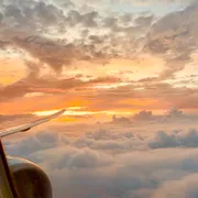 Profile picture of Benji