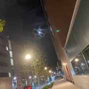 Fitbit/smart watch photo 10