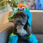 Leslie Profile photo 15