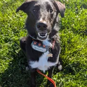 Profile picture of Rachel C.