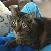 Profile picture of Mika Wrightson