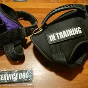 Superdad Profile photo 24