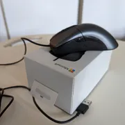 Gianluca Profile photo 24