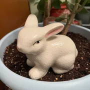 KITTY Profile photo 19