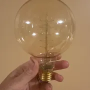 Tara Profile photo 6