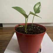 Amy Profile photo 15