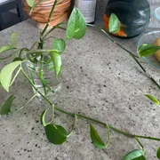 Debbie S. Profile photo 23