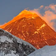 BUNZ Profile photo 7