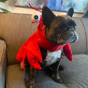 Leslie Profile photo 16