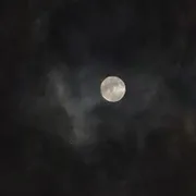 Profile picture of Japan