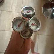 Tara Profile photo 17