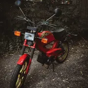 Matt E. Profile photo 2