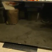 Sean D Profile photo 11