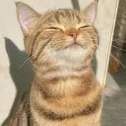 Profile picture of Charlotte 