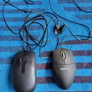 Krissy  Profile photo 6