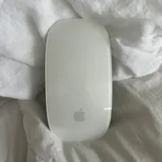 Micaela Gayner Profile photo 16