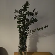 Jennifer D. Profile photo 8