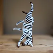 Noa Profile photo 10