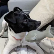 Profile picture of Crystal U.