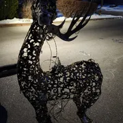 Elena M. Profile photo 4