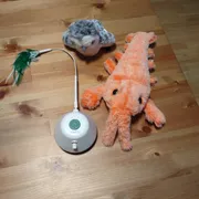 Becs A Profile photo 4