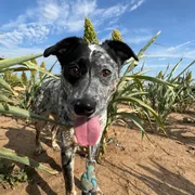 Profile picture of Sylvia