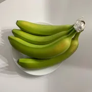 Joseph M. Profile photo 5