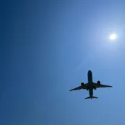 Profile picture of Tila S