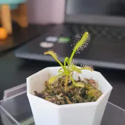 ISO LIST (Updated June 18/2024) photo 2