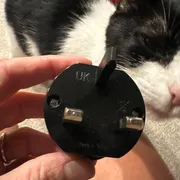 Tara Profile photo 4