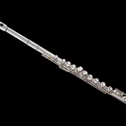 looking for a flute photo 2